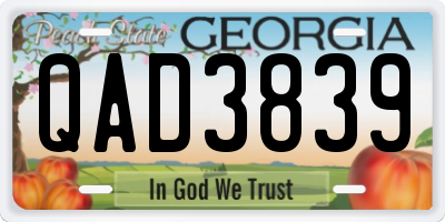 GA license plate QAD3839