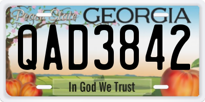GA license plate QAD3842