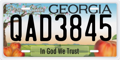 GA license plate QAD3845