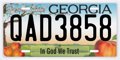 GA license plate QAD3858