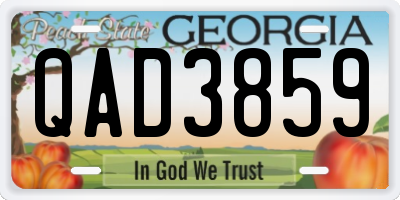 GA license plate QAD3859