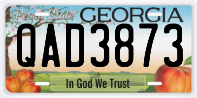 GA license plate QAD3873