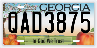 GA license plate QAD3875