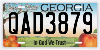 GA license plate QAD3879