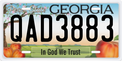 GA license plate QAD3883