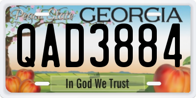 GA license plate QAD3884