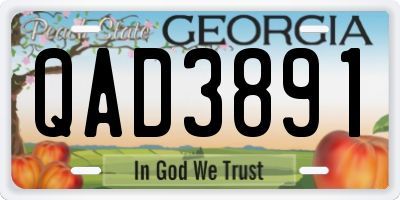GA license plate QAD3891