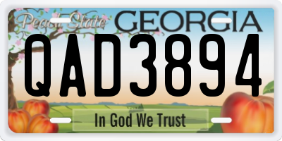 GA license plate QAD3894
