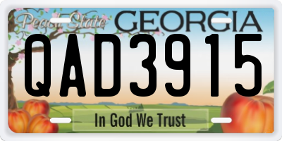 GA license plate QAD3915