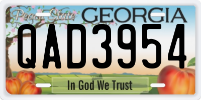 GA license plate QAD3954