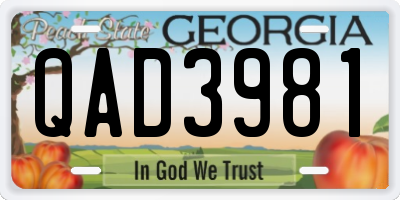 GA license plate QAD3981