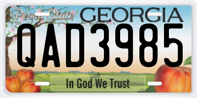 GA license plate QAD3985