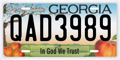 GA license plate QAD3989