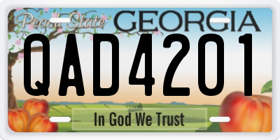 GA license plate QAD4201