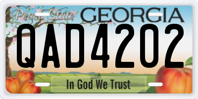 GA license plate QAD4202
