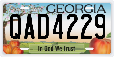GA license plate QAD4229