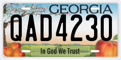 GA license plate QAD4230