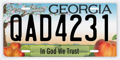 GA license plate QAD4231