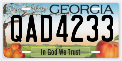 GA license plate QAD4233