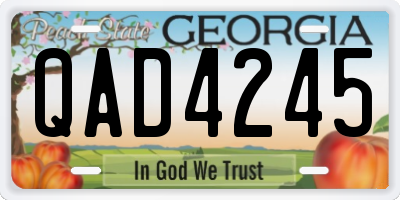 GA license plate QAD4245