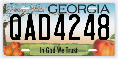 GA license plate QAD4248