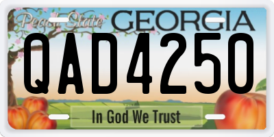 GA license plate QAD4250