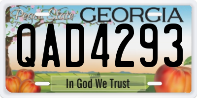 GA license plate QAD4293