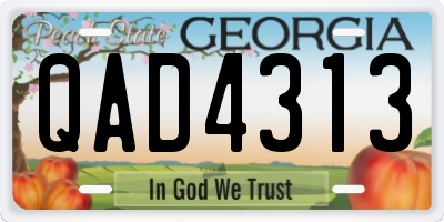 GA license plate QAD4313