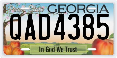 GA license plate QAD4385