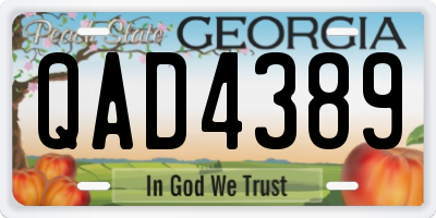 GA license plate QAD4389