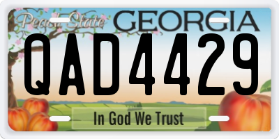 GA license plate QAD4429