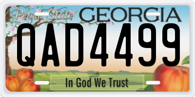 GA license plate QAD4499