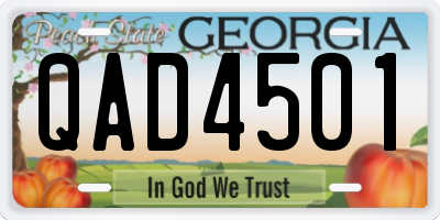 GA license plate QAD4501