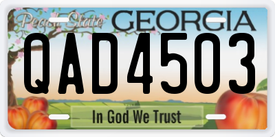 GA license plate QAD4503