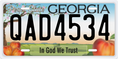 GA license plate QAD4534