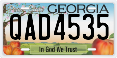 GA license plate QAD4535
