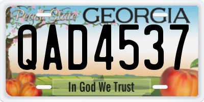 GA license plate QAD4537
