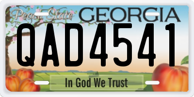 GA license plate QAD4541