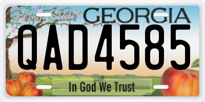GA license plate QAD4585
