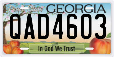 GA license plate QAD4603