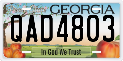 GA license plate QAD4803