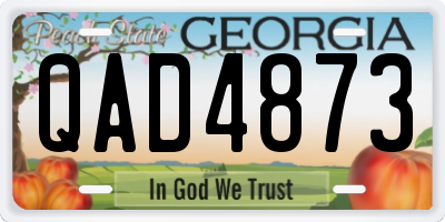 GA license plate QAD4873