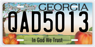 GA license plate QAD5013