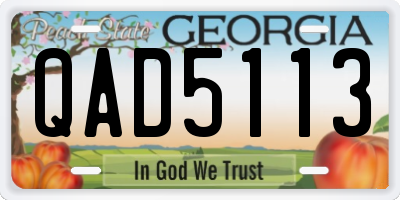 GA license plate QAD5113