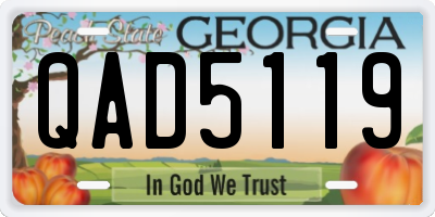 GA license plate QAD5119
