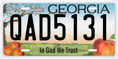GA license plate QAD5131