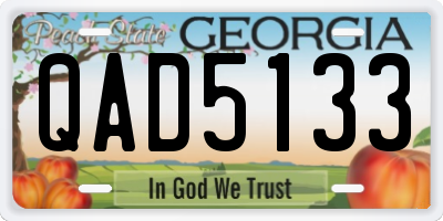 GA license plate QAD5133