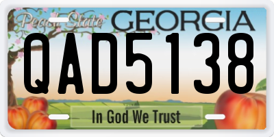 GA license plate QAD5138