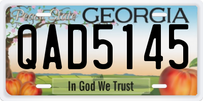 GA license plate QAD5145