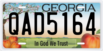 GA license plate QAD5164